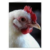 Schlicht Jane (Vorne)