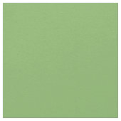 Schlicht Pistachio Stoff (Nahaufnahme)