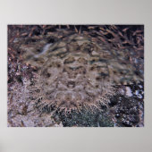 Schlicht Poster (Vorne)