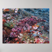 Schlicht Poster (Vorne)