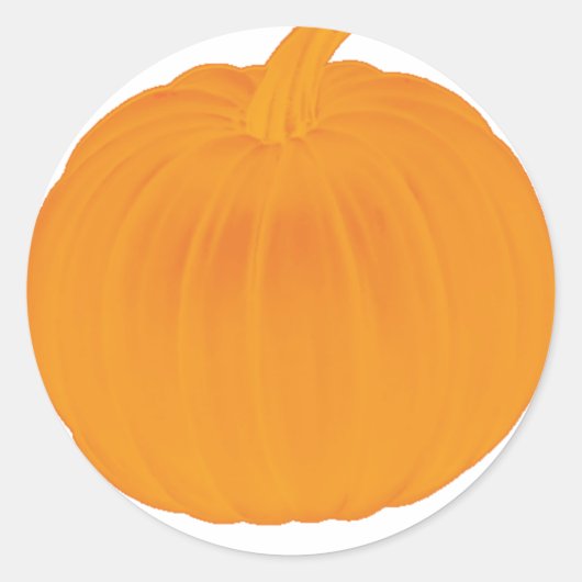 Schlicht Pumpkin Runder Aufkleber (Vorderseite)