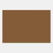 Schlicht Saddle Russet Sepia Brown Shades 3 Tones Geschenkpapier Set (Vorderseite 3)