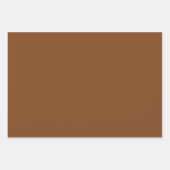 Schlicht Saddle Russet Sepia Brown Shades 3 Tones Geschenkpapier Set (Vorderseite 2)