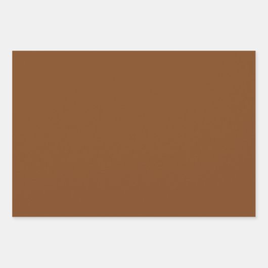 Schlicht Saddle Russet Sepia Brown Shades 3 Tones Geschenkpapier Set (Vorderseite 2)