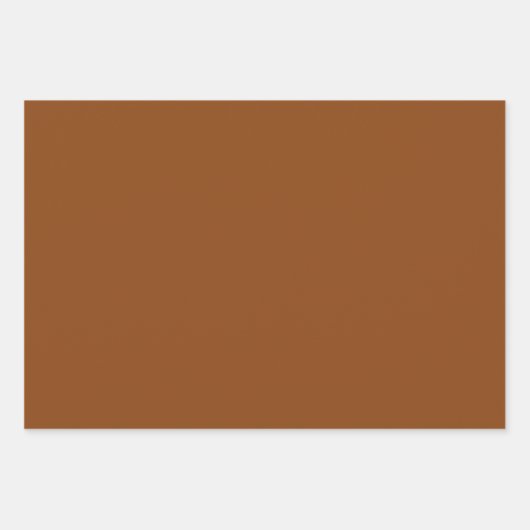 Schlicht Saddle Russet Sepia Brown Shades 3 Tones Geschenkpapier Set (Vorderseite)