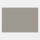 Schlicht Stone Taupe Timberwolf Gray Shades 3 Tone Geschenkpapier Set (Vorderseite)