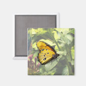 Schlicht Tiger Butterfly Magnet (Vorderseite/Rückseite)