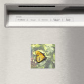 Schlicht Tiger Butterfly Magnet (In Situ (Geschirrspüler))