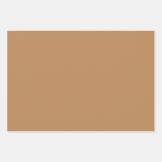 Schlicht Toast Camel Leinwand Brown Shades 3 Tones Geschenkpapier Set (Vorderseite 3)
