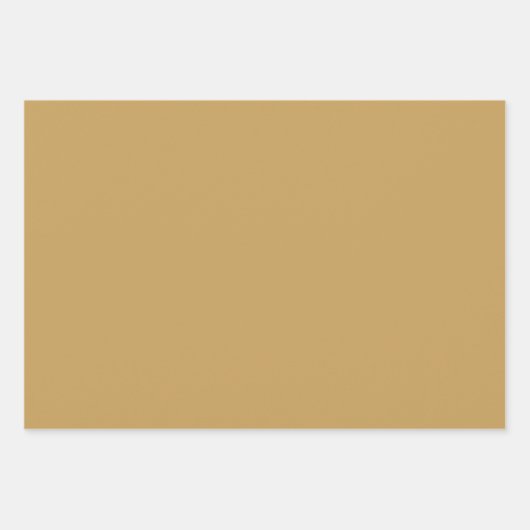 Schlicht Toast Camel Leinwand Brown Shades 3 Tones Geschenkpapier Set (Vorderseite 2)