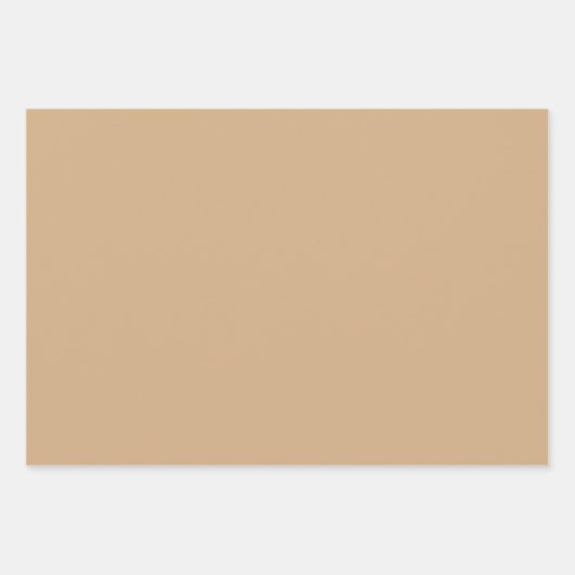 Schlicht Toast Camel Leinwand Brown Shades 3 Tones Geschenkpapier Set (Vorderseite)