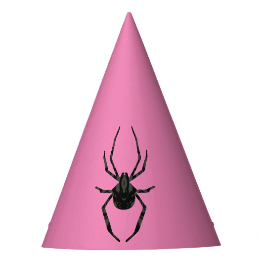 Schlichte Alte Spinne Partyhütchen (Vorderseite)