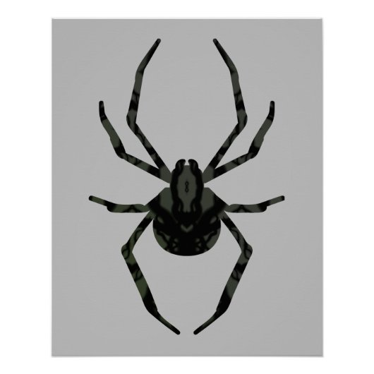 Schlichte Alte Spinne Poster (Vorderseite)