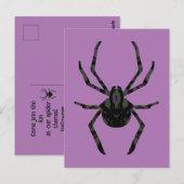 Schlichte Alte Spinne Postkarte (Vorne/Hinten)