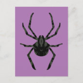 Schlichte Alte Spinne Postkarte (Vorderseite)