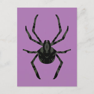 Schlichte Alte Spinne Postkarte