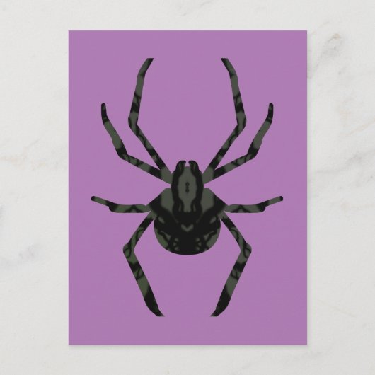 Schlichte Alte Spinne Postkarte (Vorderseite)