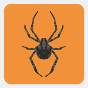 Schlichte Alte Spinne Quadratischer Aufkleber