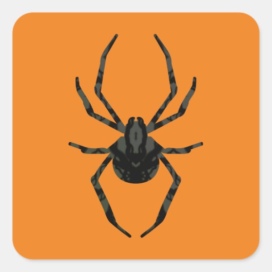 Schlichte Alte Spinne Quadratischer Aufkleber (Vorderseite)