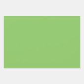 Schlichte Apfelgartenpastellgrün in fester Farbe Geschenkpapier Set (Vorderseite 3)