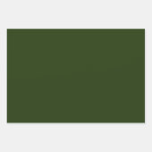 Schlichte Blätter für grüne Umhüllungspapiere (Vorderseite)