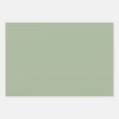 Schlichte Blätter für grüne Umhüllungspapiere (Vorderseite 3)