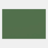 Schlichte Blätter für Trauben grün (Vorderseite)