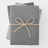 Schlichte Dolphin Cloud Gray Shades 3 Tones Geschenkpapier Set (Beispiel)