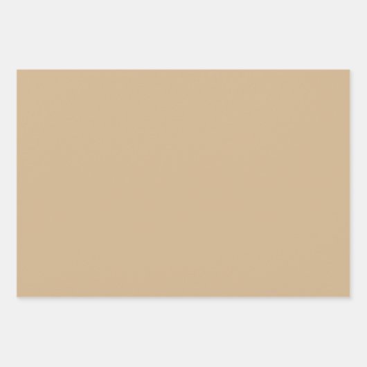 Schlichte Dunkle Tan Ecru Brown Shades 3 Tones Geschenkpapier Set (Vorderseite 2)