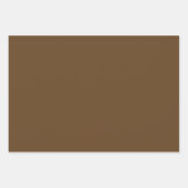Schlichte Dunkle Tan Ecru Brown Shades 3 Tones Geschenkpapier Set (Vorderseite)