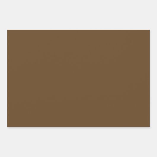 Schlichte Dunkle Tan Ecru Brown Shades 3 Tones Geschenkpapier Set (Vorderseite)