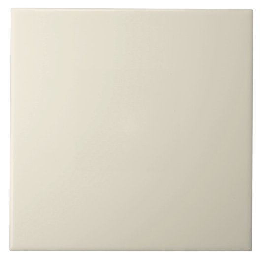 schlichte Farbe in weißbeige Fliese (Vorderseite)