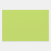 Schlichte Frühjahrs-Bud-Limes Grüne Schattierungen Geschenkpapier Set (Vorderseite 2)