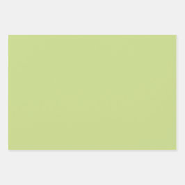 Schlichte Frühjahrs-Bud-Limes Grüne Schattierungen Geschenkpapier Set