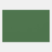 Schlichte Frühjahrs-Mughal-Grüntöne 3 Tones Geschenkpapier Set (Vorderseite 3)