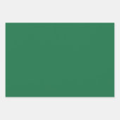 Schlichte Frühjahrs-Mughal-Grüntöne 3 Tones Geschenkpapier Set (Vorderseite 2)