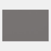 Schlichte Kohle leichte Carbon-Grauschattierungen  Geschenkpapier Set (Vorderseite)