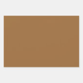 Schlichte Kokosnuss Bark Ash Brown Shades 3 Tones Geschenkpapier Set (Vorderseite 3)