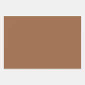 Schlichte Kokosnuss Bark Ash Brown Shades 3 Tones Geschenkpapier Set (Vorderseite 2)