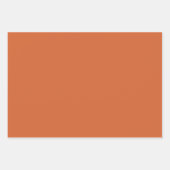 Schlichte Kürbisorange mit fester Ernte Geschenkpapier Set (Vorderseite 2)