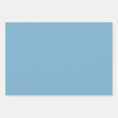 Schlichte Massivpastellblauer Geschenkpapier Set (Vorderseite)