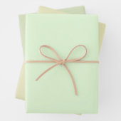 Schlichte Nyanza Pale Gin Green Shades 3 Tones Geschenkpapier Set (Beispiel)
