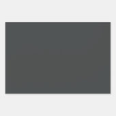 Schlichte Onyx Platinum Payne's Gray Shades 3 Tone Geschenkpapier Set (Vorderseite)