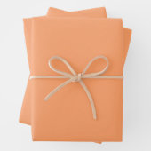 Schlichte Papayaorange in fester Farbe Geschenkpapier Set (Beispiel)