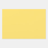 Schlichte Papiertücher Geschenkpapier Set (Vorderseite 2)