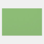 Schlichte Paris Bud Gelbe Grüne Schattierungen 3 T Geschenkpapier Set (Vorderseite 2)