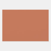 Schlichte Pastellfarbe Rost orange Geschenkpapier Set (Vorderseite 3)