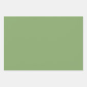 Schlichte Pistachio Asparagus Grüne Schattierungen Geschenkpapier Set (Vorderseite 3)