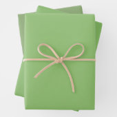 Schlichte Pistachio Asparagus Grüne Schattierungen Geschenkpapier Set (Beispiel)