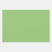 Schlichte Pistachio Asparagus Grüne Schattierungen Geschenkpapier Set (Vorderseite)